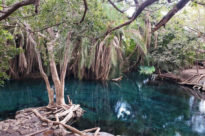 Private Materuni and Chemka Hotspring Tour - The Materuni Add-On Feel: Coffee and Plantation Flavor
