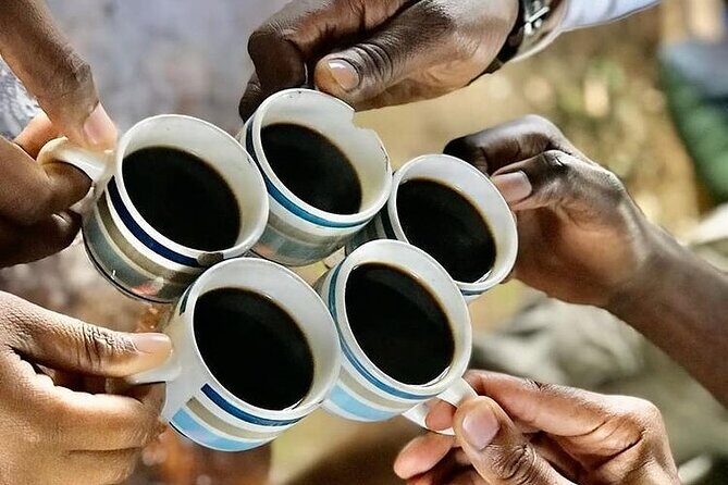 Private Materuni Waterfall & Coffee Tour. - Hillborn Organic Coffee: the bean-to-cup steps you’ll actually see