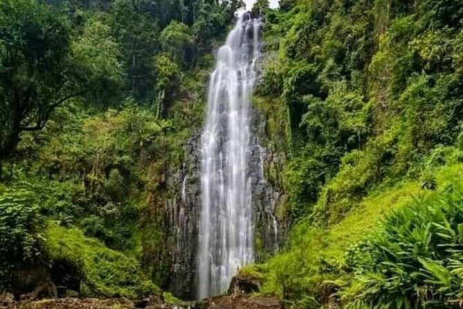 Private Materuni Waterfall & Coffee Tour. - Choosing a private tour with English-speaking guides (and what that buys you)