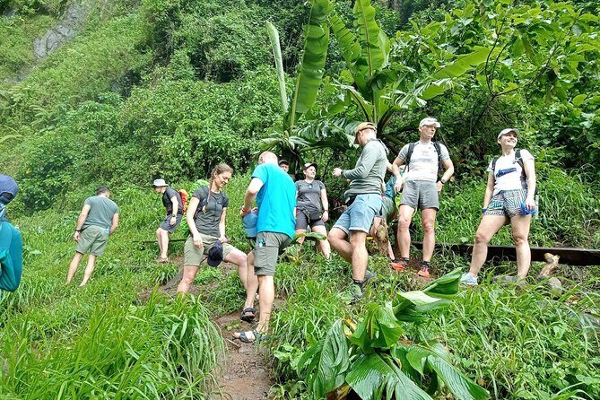 Private Materuni Waterfalls, Coffee Tour and Kikuletwa Hot Spring - Key things to know before you go