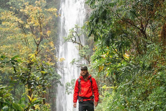 Private Materuni Waterfalls, Coffee Tour and Kikuletwa Hot Spring - Entering Arusha’s waterfall-and-coffee day plan