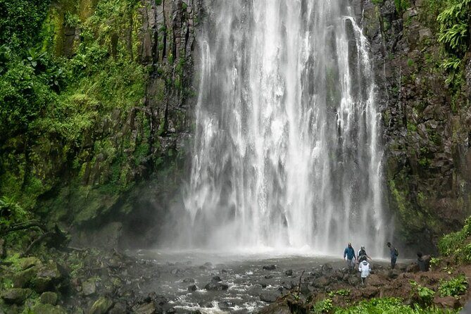 Private Materuni Waterfalls, Coffee Tour and Kikuletwa Hot Spring - Price and value: what $128.58 covers (and what it does not)