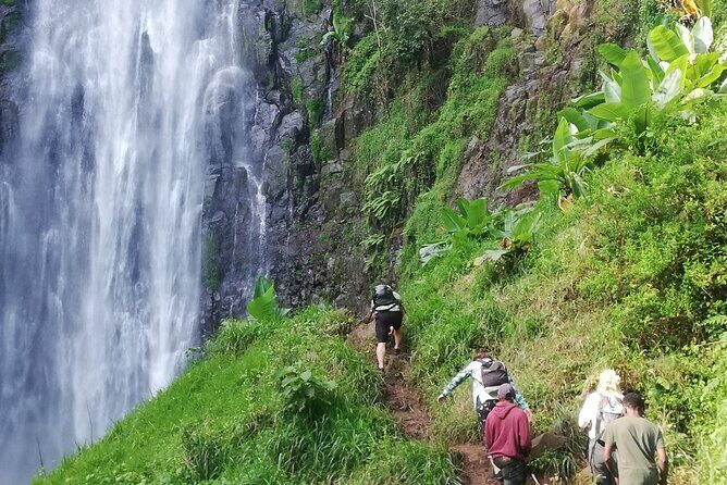Private Materuni Waterfalls Hiking and Coffee Tour - What you’re really paying for: value of $150 per person
