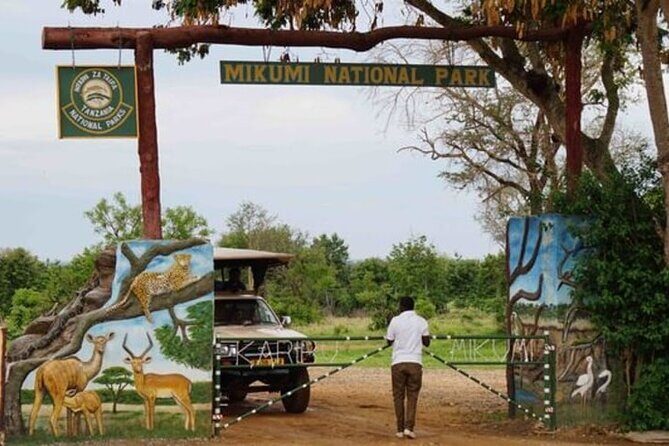 Private Mikumi Adventure - Wildlife expectations at Mikumi: the practical checklist