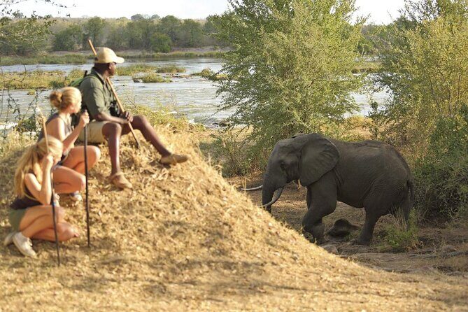 Private Mikumi Adventure - Afternoon/evening game drive: what you’re aiming to see