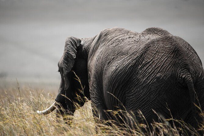 Private Multi-Day Tour in Tanzania Safari - Sunrise colors and Ngorongoro’s crater bowl after Oldupai Gorge
