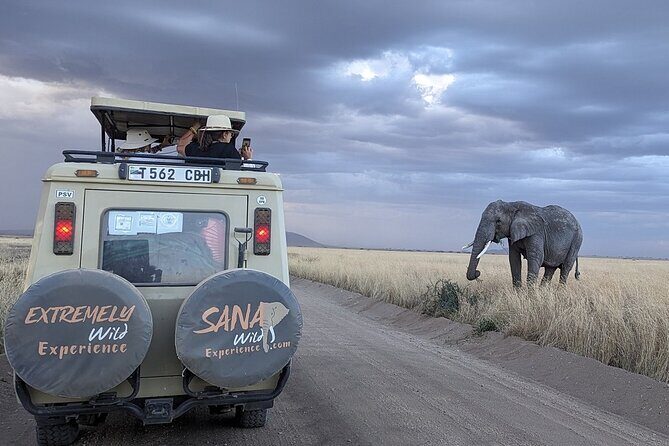 Private Multi Day Tour Tanzania Safari - Day 1: Tarangire After Landing (and Why That River Matters)