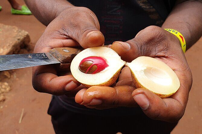 Private Spice Tour in Zanzibar with Pick Up - Who Should Book This Spice Tour in Zanzibar