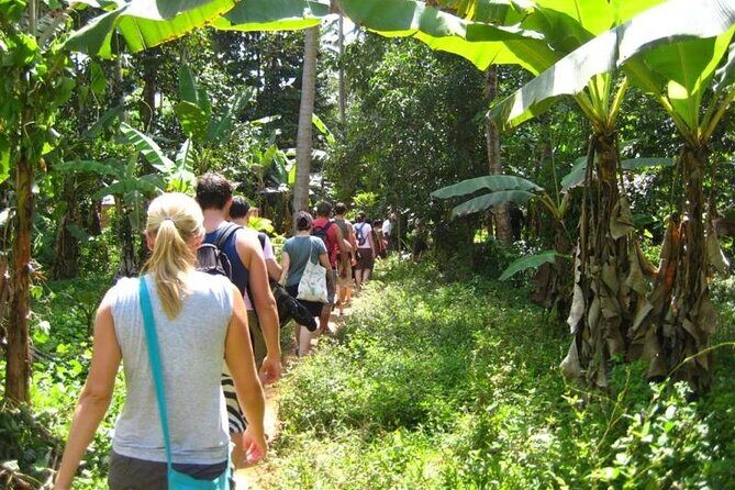 Private Stone Town Half Day Tour - Zanzibar Spices and Heritage Centre: Where Your Nose Gets a Job