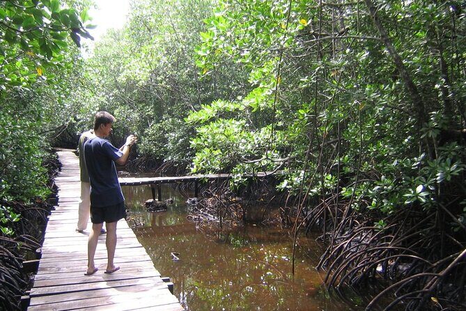 Private Stone Town & Spice Farm Tour - Jozani Chwaka Bay National Park: red colobus monkeys and mangrove quiet