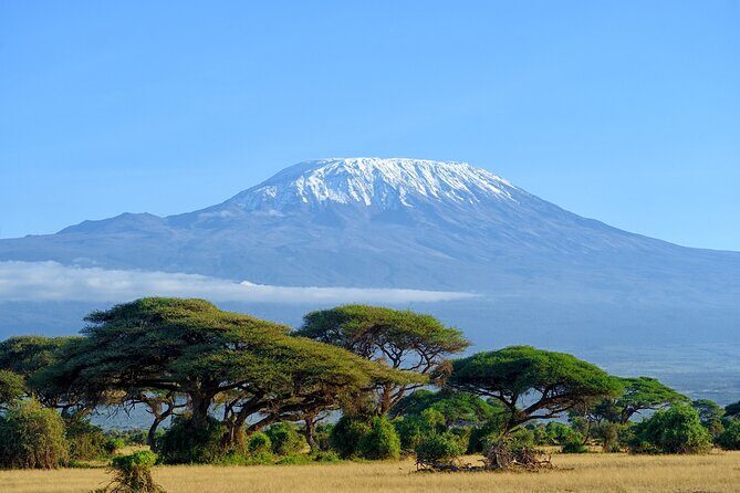 Private Tour to Marangu Waterfalls, Chagga Caves, Coffee tour & Hot Springs - Key points before you go