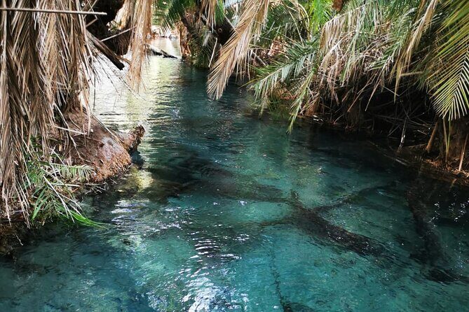 Private Tour to Materuni waterfalls, coffee tour & Kikuletwa hot- springs - Things that can affect your experience