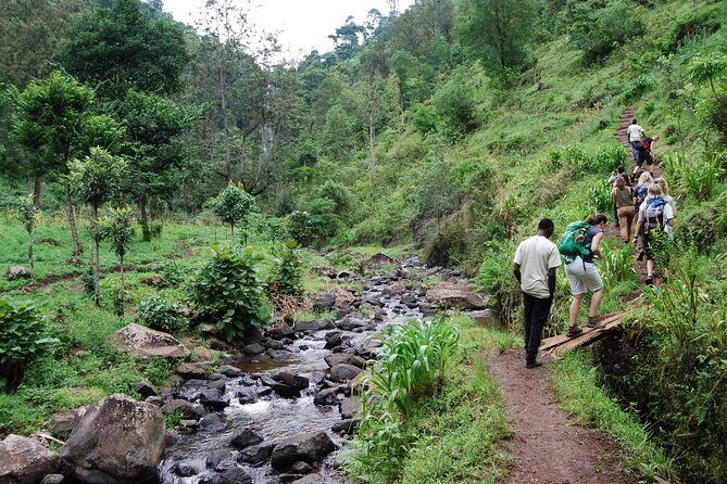 Private Tour to Materuni Waterfalls, coffee tour, Kikuletwa Hot Springs & Maasai - Kikuletwa Hot Springs: Water That’s Refreshing, Not Burn-In-Hot