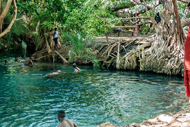 Private Tour to Materuni Waterfalls, coffee tour, Kikuletwa Hot Springs & Maasai - Maasai Boma in the Evening: Family Time, Dancing, and Elders