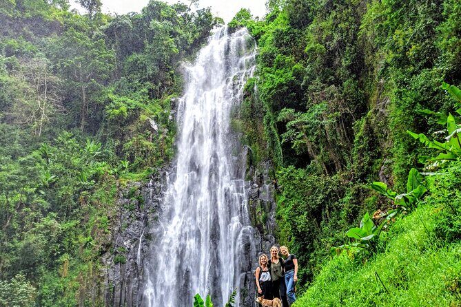 Private Tour to Materuni Waterfalls, coffee tour, Kikuletwa Hot Springs & Maasai - Price and Value: Is $80 a Good Deal Here?
