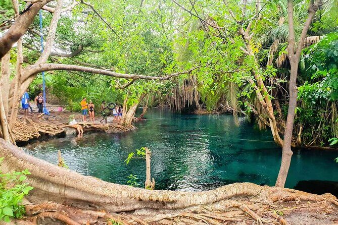 Private Tour to Materuni Waterfalls, coffee tour, Kikuletwa Hot Springs & Maasai - Coffee Tour at a Local Farm: From Cherry to Your Cup
