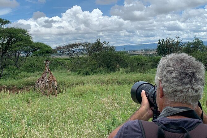Private Walking Tour with Giraffes - Walking with giraffes: what the close encounter feels like