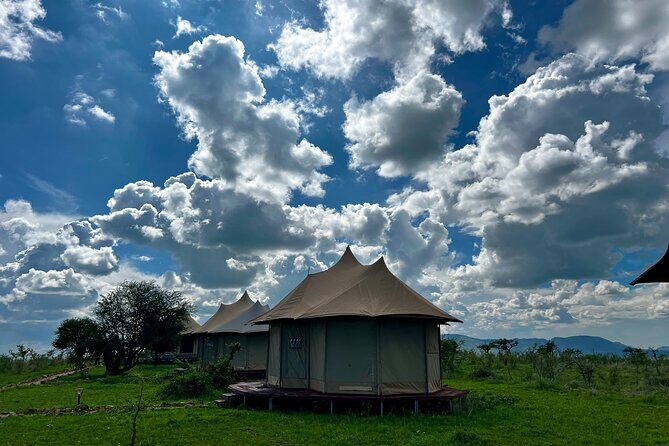 PRIVATE Wildebeest Calving Safari, Tanzania, January to March - Guides and the kind of spotting that changes everything