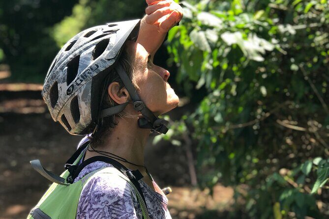 Rau Forest Bike tour - Sugarcane to rice fields: the real work behind one sack of rice