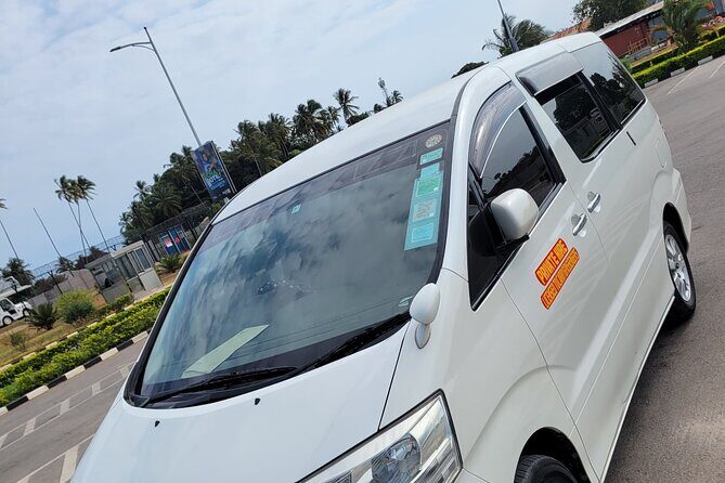 Reliable Zanzibar Airport to Hotel Transfers - Pickup at Zanzibar Airport: the name-and-flight system