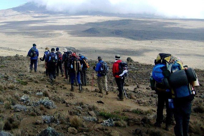 Rongai Route 6 Days 5 Nights/Kilimanjaro climb - Day 4: The Lunar Desert Saddle Between Mawenzi and Kibo