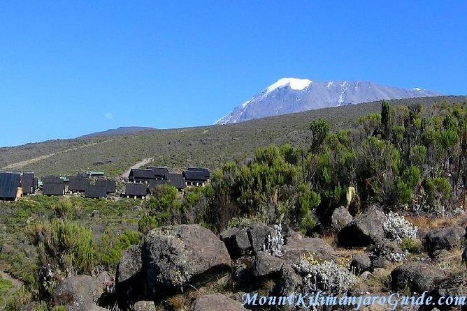 Rongai Route 6 Days 5 Nights/Kilimanjaro climb - Day 6 Descent to Marangu Park Gate and Back to Moshi or Arusha