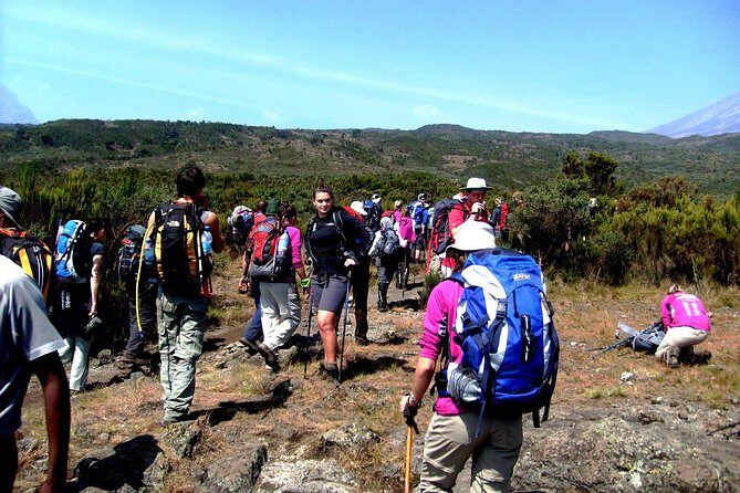 Rongai Route 6 Days 5 Nights/Kilimanjaro climb - Moshi Setup and Day 1 at Nale Moru (Around 1,950m)