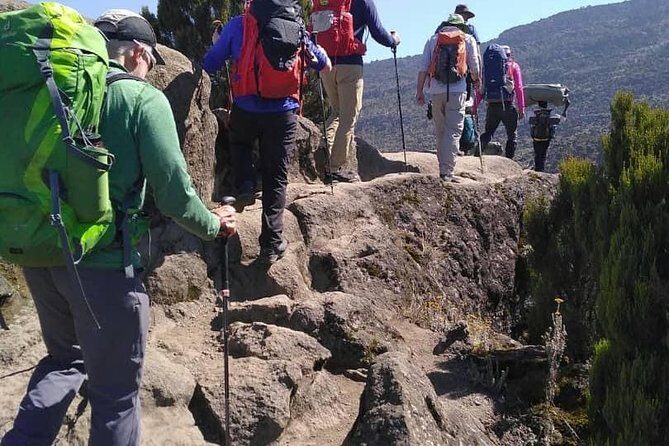 Rongai Route 7 Days - Day 6 (Kibo Hut → Uhuru Peak → Down to Horombo): The Big Day in Numbers and Grit