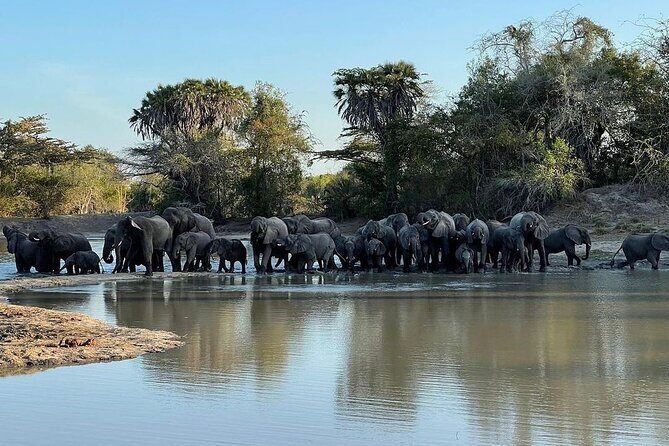 Saadani National Park Day Tour - Key things I think you should know