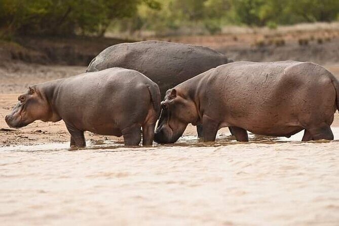 Saadani National Park Day Tour - The drive from Dar es Salaam: what the schedule implies