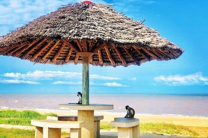 Saadani National Park Day Tour - Who this Saadani day tour is best for