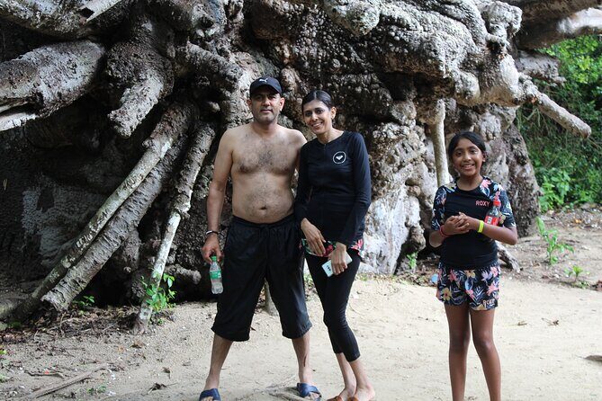 Safari Blue Zanzibar City Tanzania - Mangrove-framed lagoon snorkel: a different kind of water world