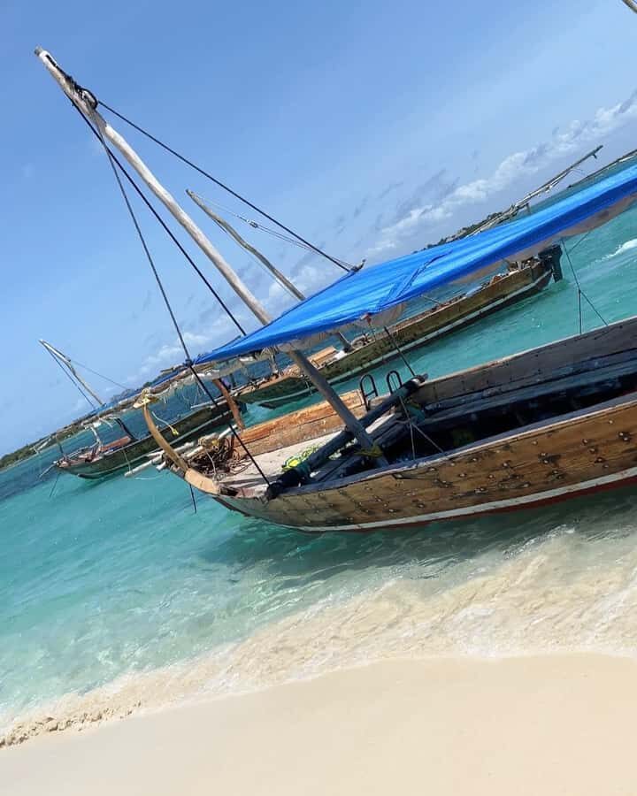 SAFARI BLUE ZANZIBAR : PRIVATE TRIP - Key highlights you’ll actually care about
