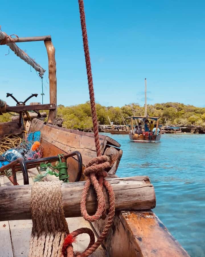 SAFARI BLUE ZANZIBAR : PRIVATE TRIP - Private Safari Blue: why this dhow day feels worth paying for