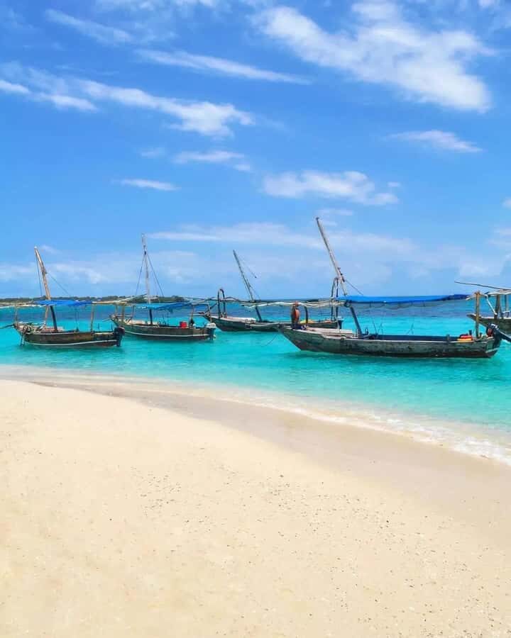 SAFARI BLUE ZANZIBAR : PRIVATE TRIP - Kwale Island snorkeling and swimming: your first big ocean break