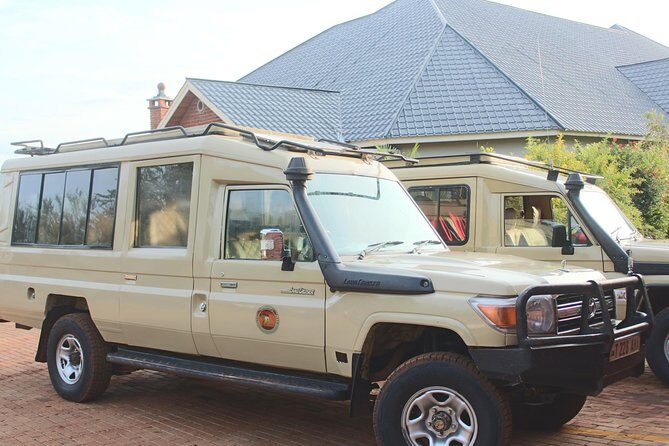 Safari & Culture - A full day Serengeti game drive: chasing the Big Five