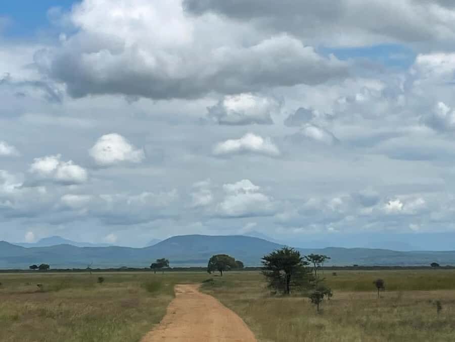 SAFARI WILDLIFE FROM ZANZIBAR TO MIKUMI 3 DAYS AND 2 NIGHTS - Breakfast and Lunch Inside the Safari Rhythm