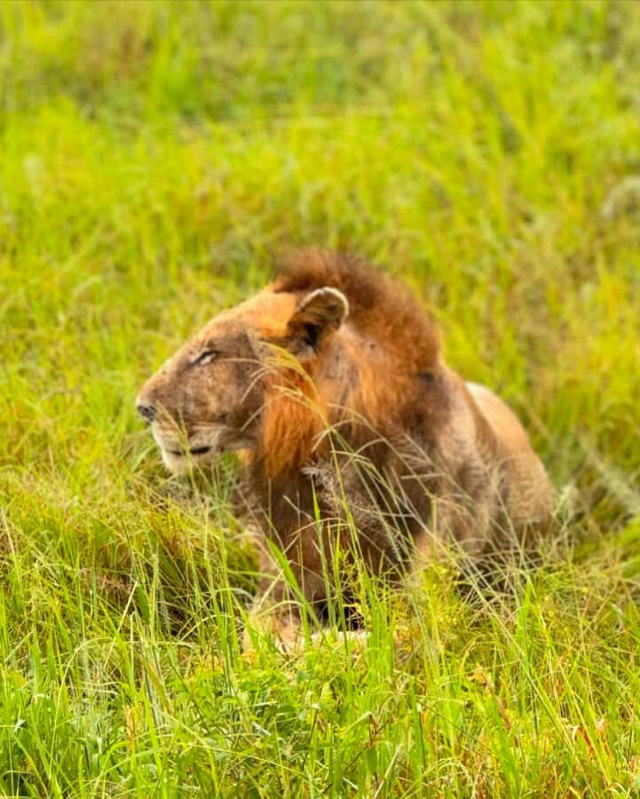 SAFARI WILDLIFE FROM ZANZIBAR TO MIKUMI 3 DAYS AND 2 NIGHTS - Logistics You’ll Feel: Long Day Segments and Weather Reality