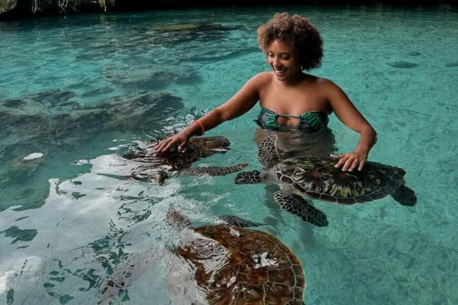 Salaam Cave Swimming & feeding Sea Turtles in Kizimkazi - How Long You’ll Be There (And Why 20 Minutes Can Still Be Enough)