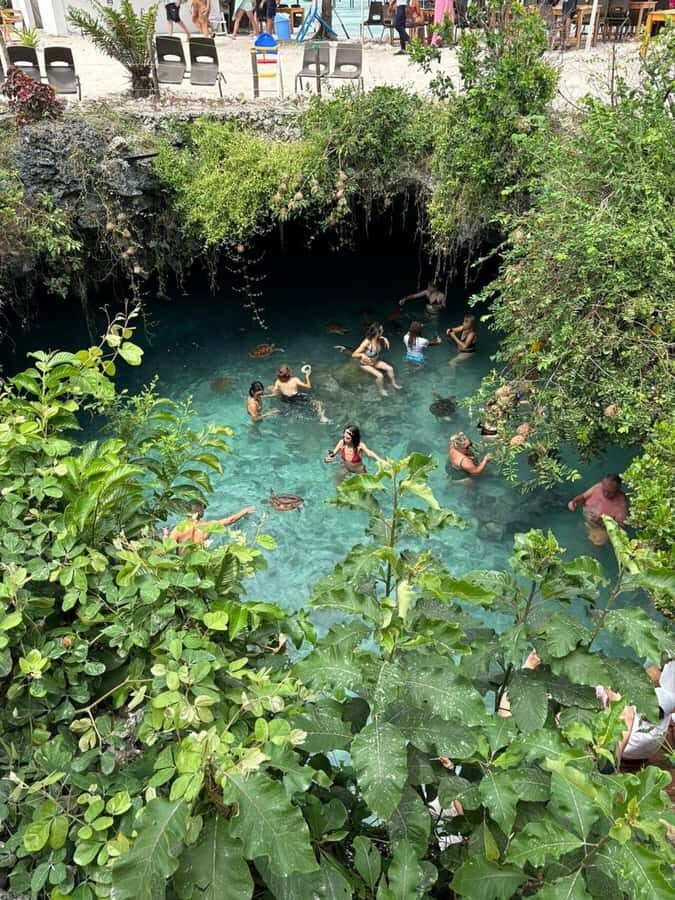 Salaam Cave Swimming & feeding Sea Turtles in Kizimkazi - Who Should Book Salaam Cave Turtle Swimming