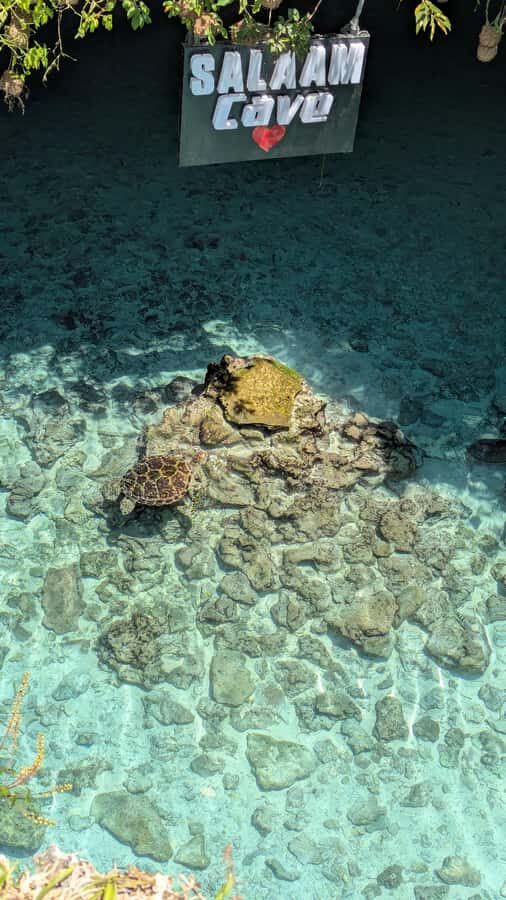 Salaam Cave Swimming with turtles, Mtende Beach & The Rock - Who should book this tour, and who should skip it