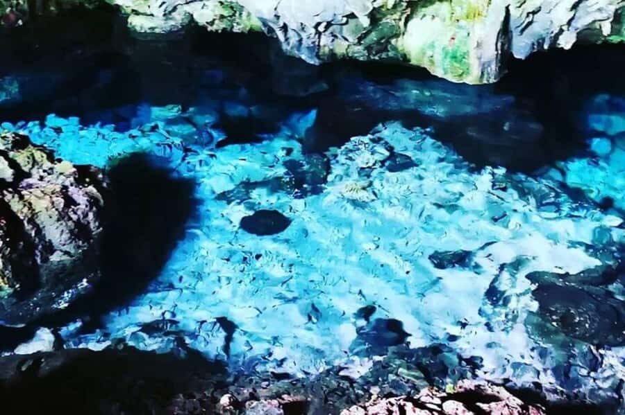 Salaam Cave Tour, Kuza Cave, Paje Beach, Lunch at The Rock - A 9-hour circuit of caves, turtles, mangroves, and sand