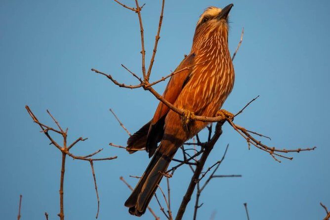 Selous/Nyerere National Park Day Trip - Private Guide Time (and guides like Bakari): why it changes everything