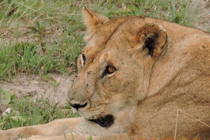 Serengeti 2-Day Safari from Mwanza - Leaving Mwanza at 6:30 am: the sprint that can still feel relaxed