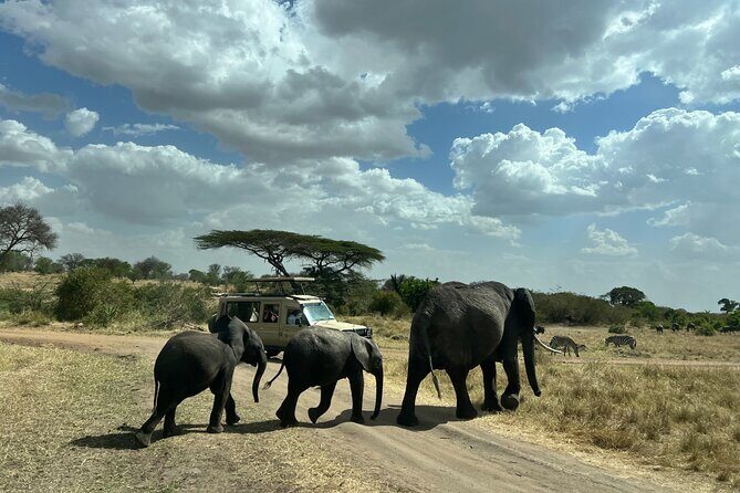 Serengeti 2-Day Safari from Mwanza - Day 2 at the Grumeti River: where hippos and crocs steal the show