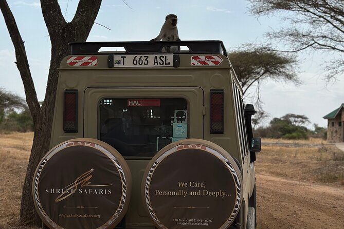 Serengeti 2-Day Safari from Mwanza - The final game drive and back to Mwanza