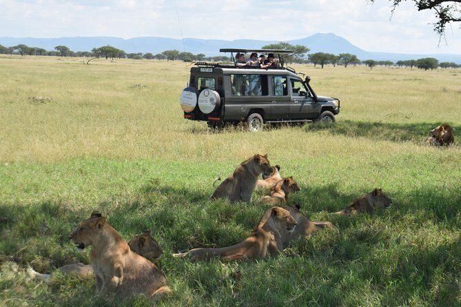 Serengeti Day Trip Safari From Mwanza Tanzania - Price and value: is $500 per person worth it?