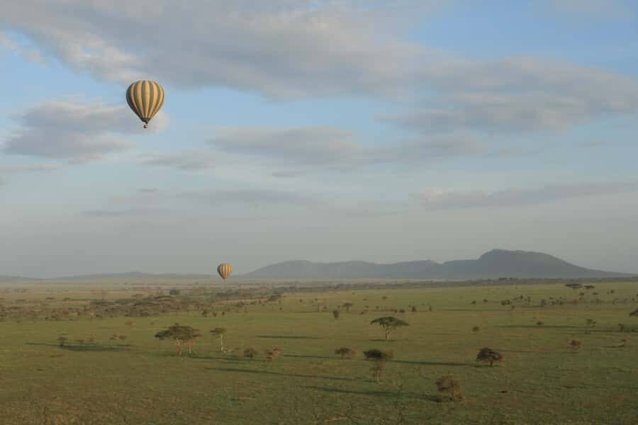 Serengeti National Park: Balloon Safari at Dawn - Who this Serengeti balloon safari is best for (and who should skip it)