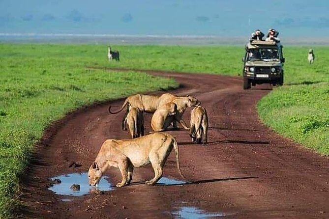 Serengeti national Park, ngorongoro conservation area 3 days two nights - Key Points at a Glance