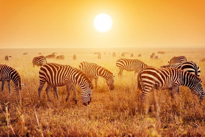 SERENGETI NATIONAL PARK Tour - Arusha to Serengeti: the long ride you should prepare for